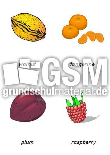 flashcard - fruit 05.pdf